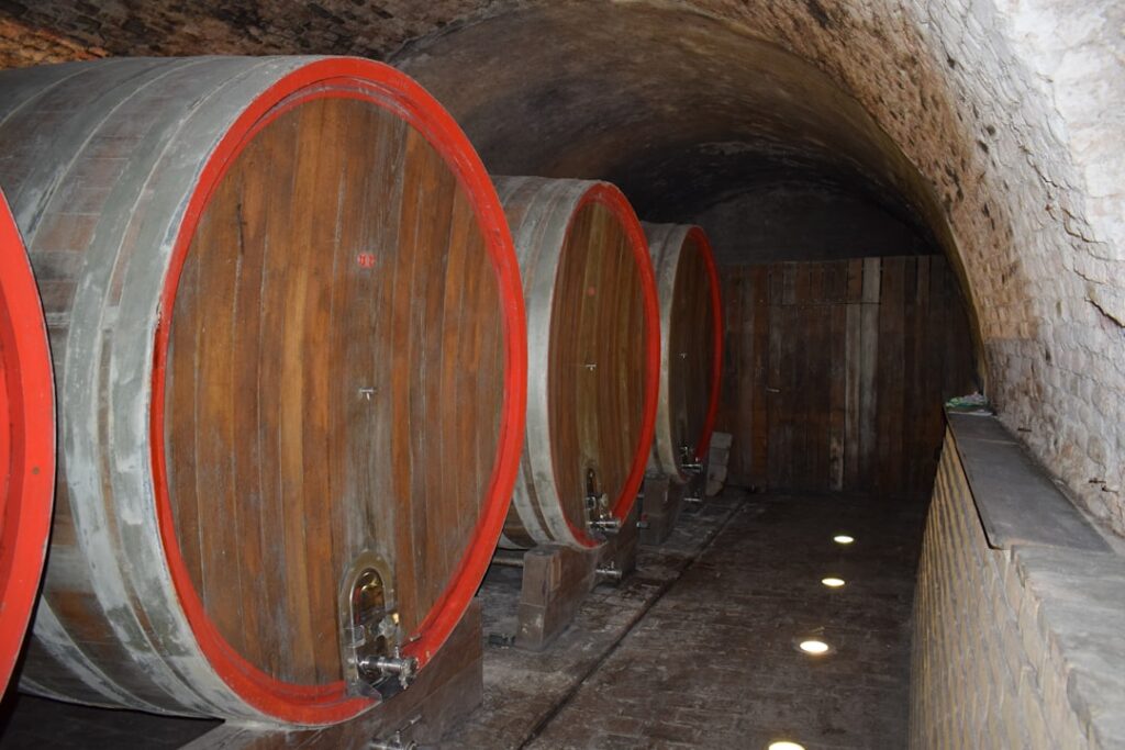 Cellar barrels Vernaccia aging