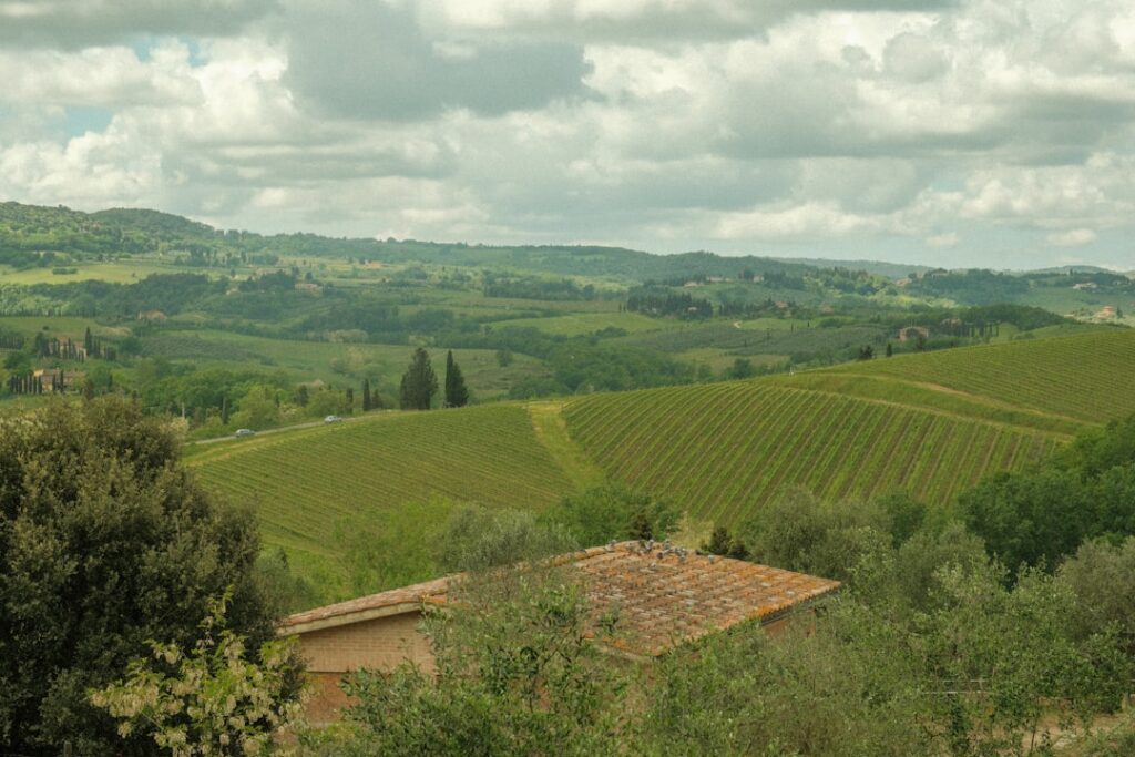 Country road vineyard near San Gimignano afternoon