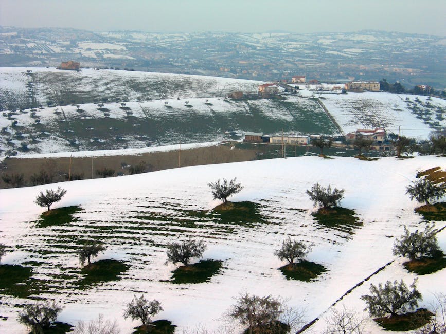 San Gimignano Torre Grossa panoramic view