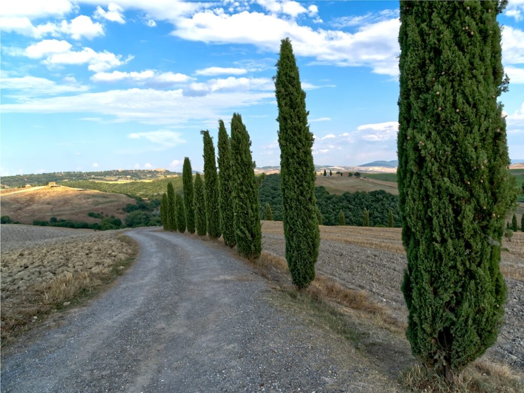 Stone path countryside Tuscany afternoon