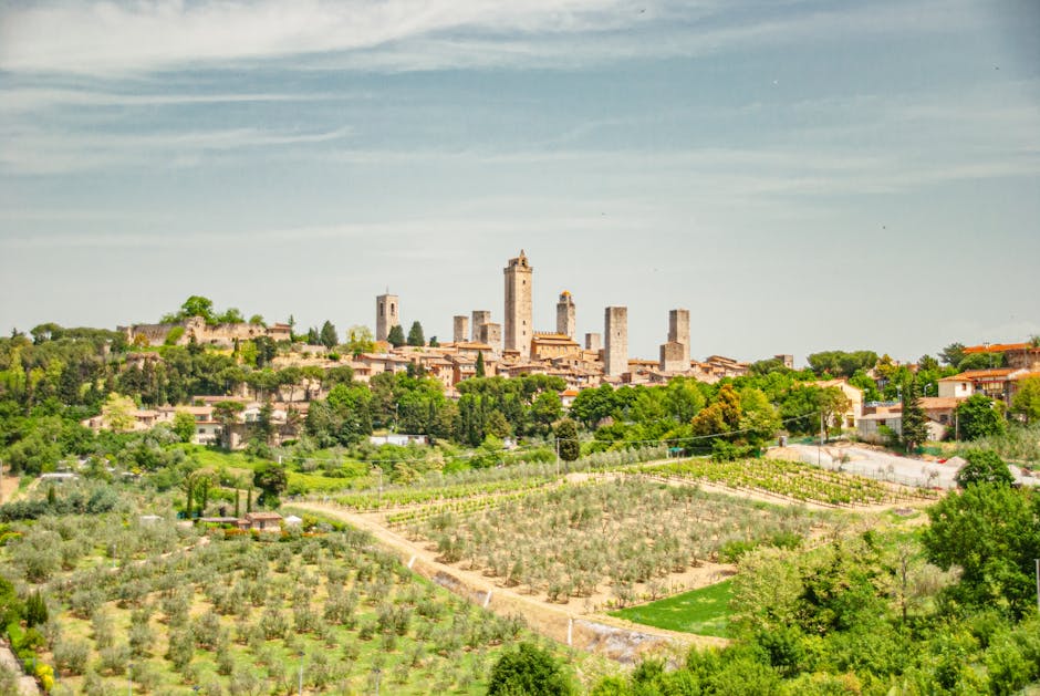 View from Torre Grossa over vineyards