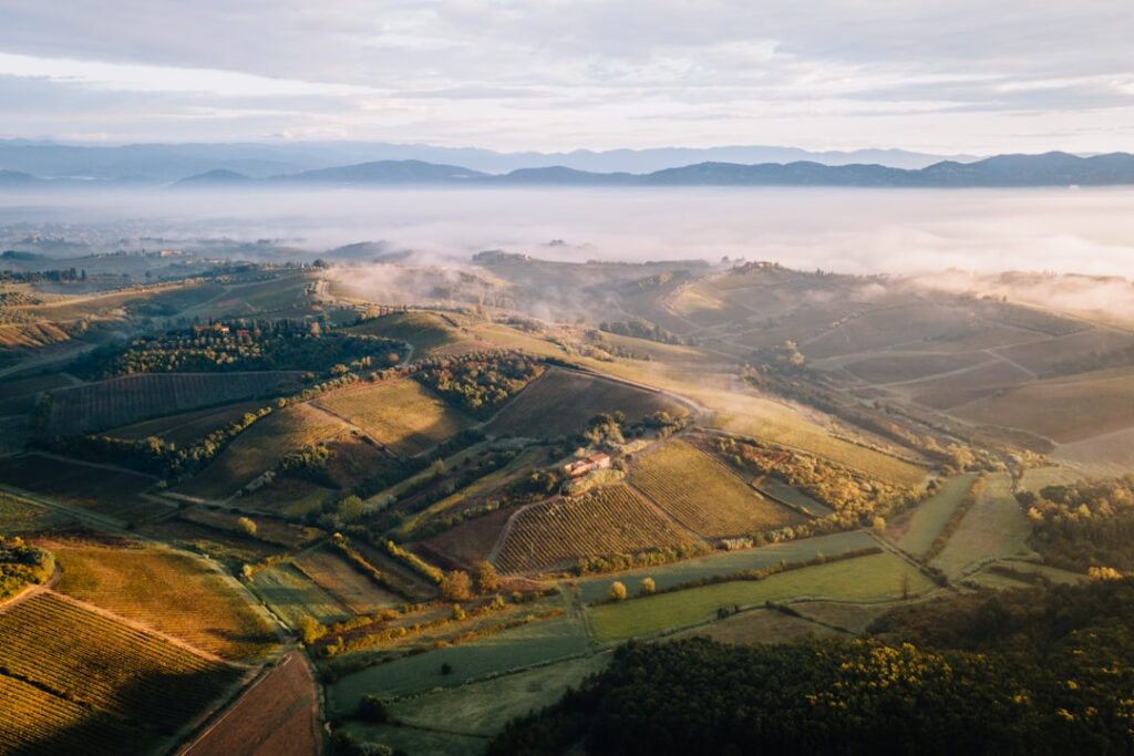 Sunset vineyard view Tuscan hills