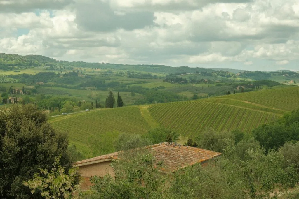 Vignes et collines verdoyantes autour de San Gimignano, toit en tuiles visible