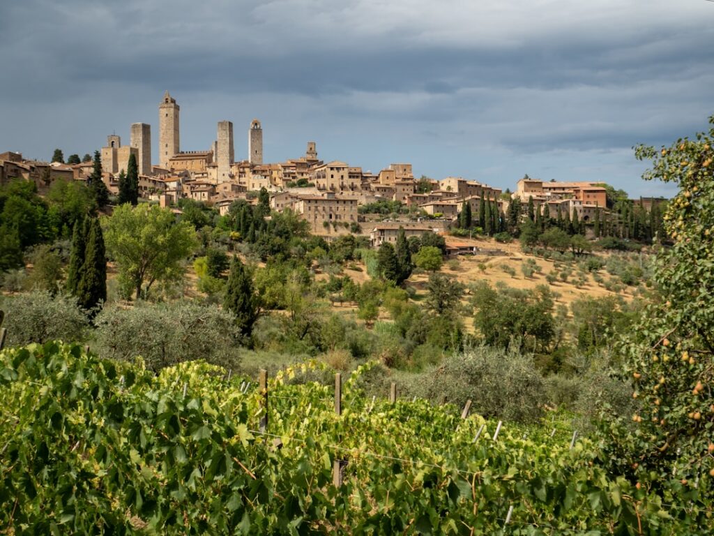 Boutique wineries ramener la meilleure San-gimignano travel tourism landmark